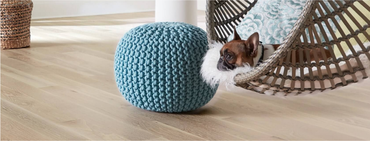 A little brown and white bulldog rests in a hanging wicker chair on a fluffy blanket over a hardwood floor next to a pouf.