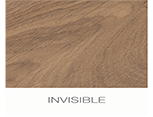 Invisible-NL.png