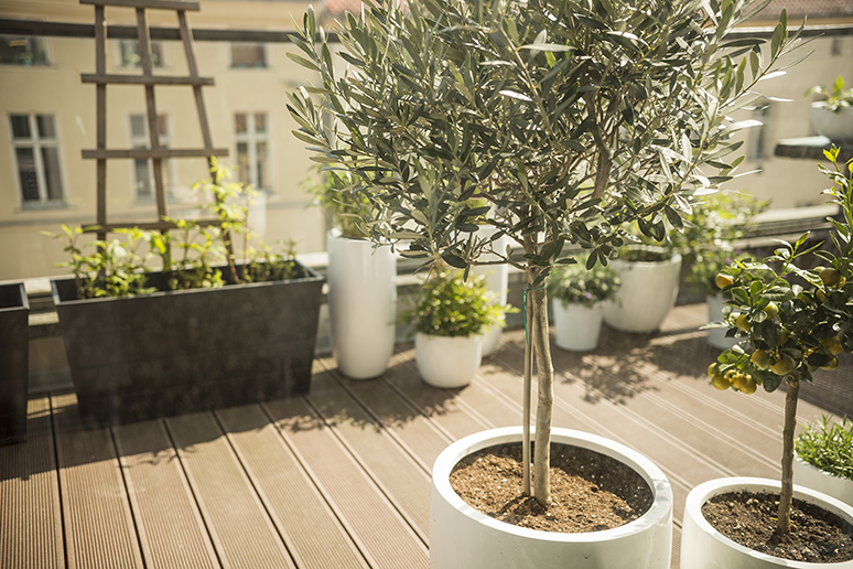 Outdoor-Decking-Reviver-Lifestyle.png