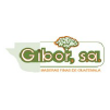 gibor.png